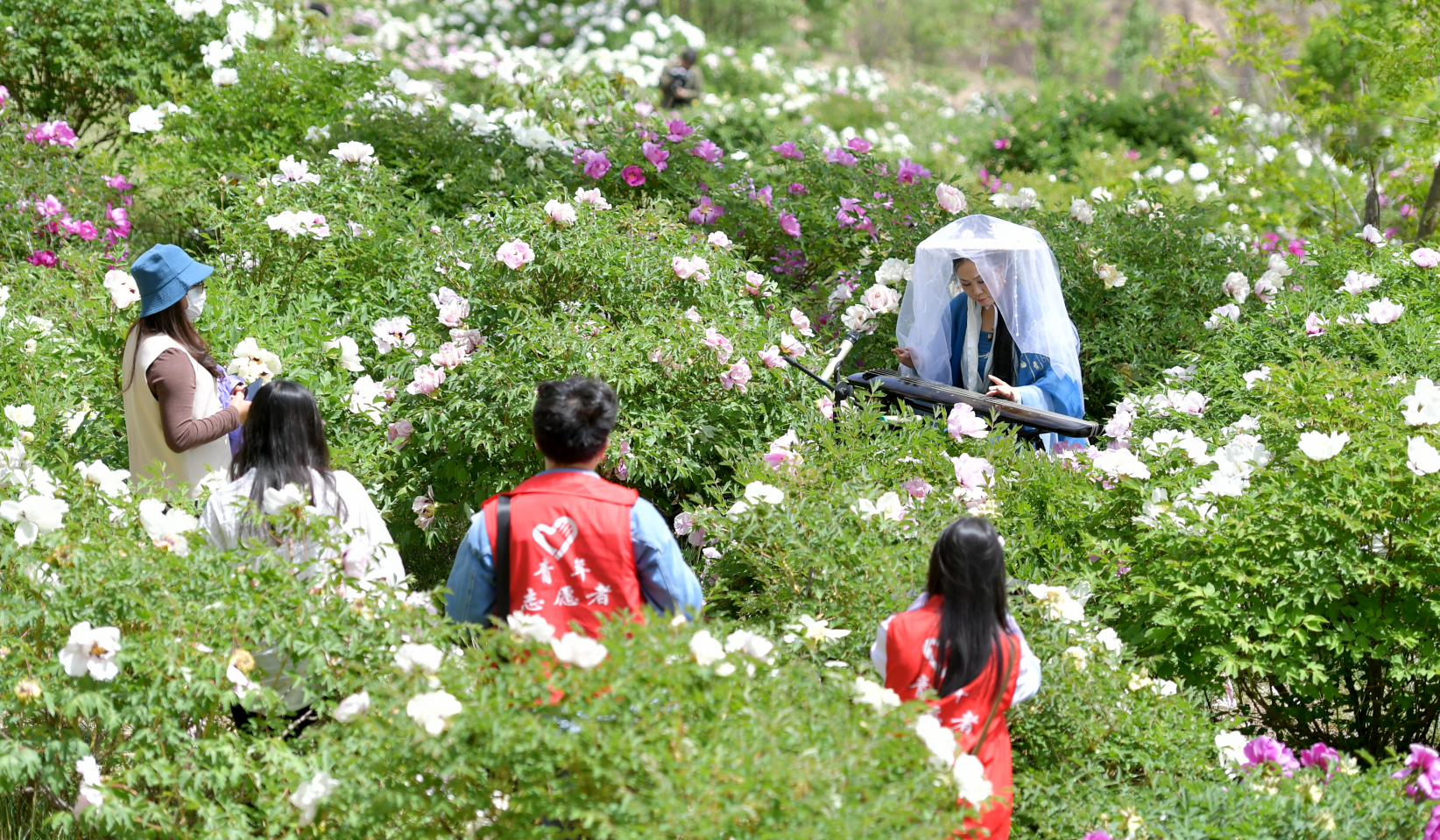 第五届原州区牡丹花文化旅游节开幕