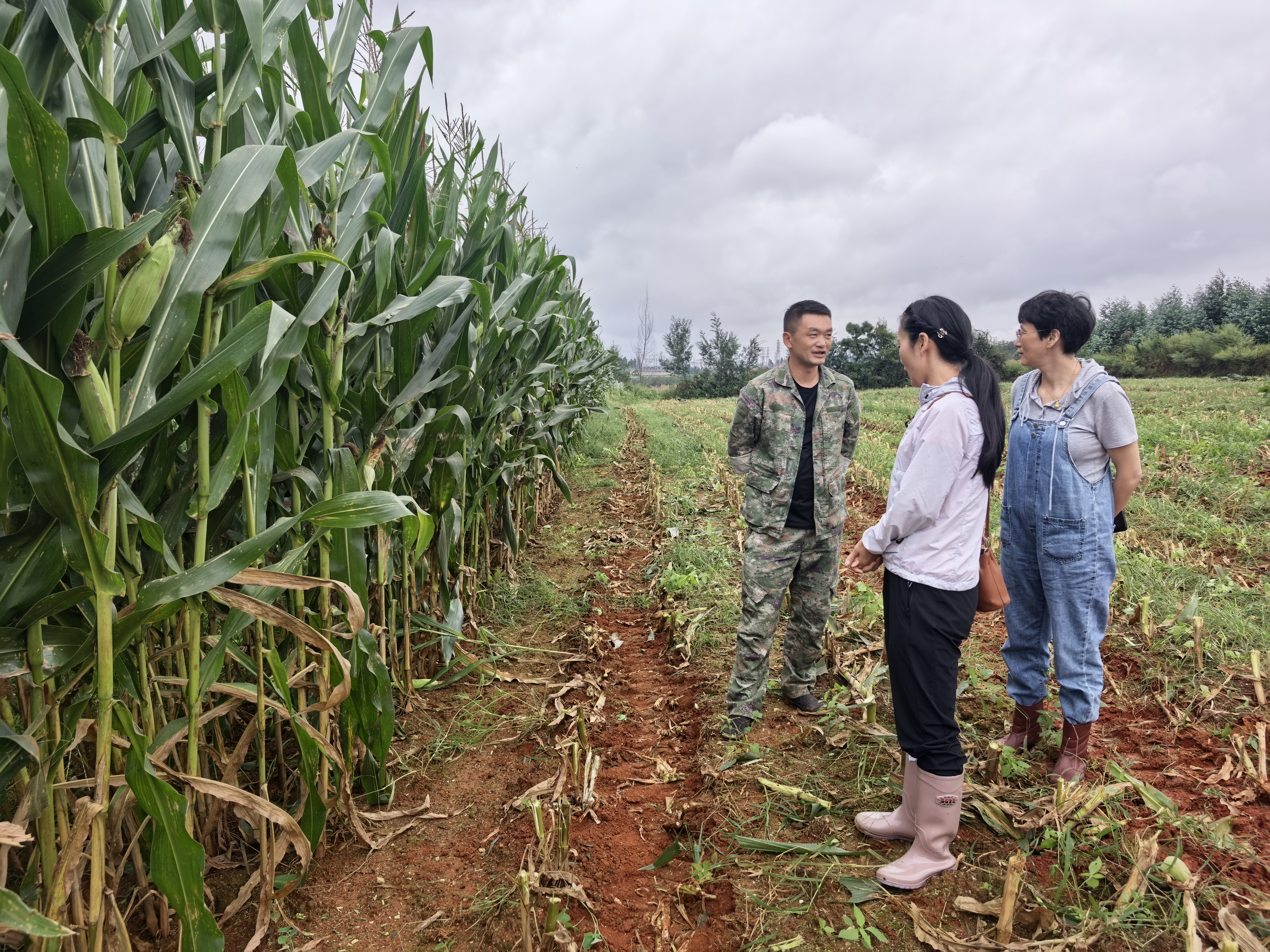 马龙：积极推进粮改饲工作 助力农牧业高质..