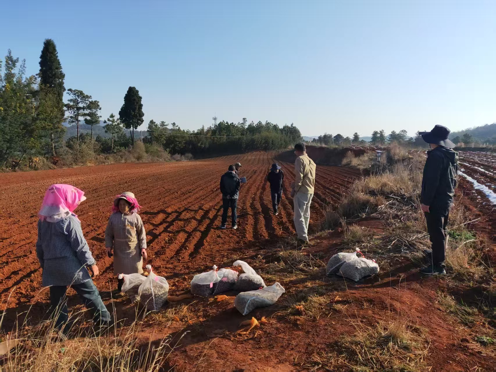 马龙:全面提升耕地质量 守护“饭碗田” ..