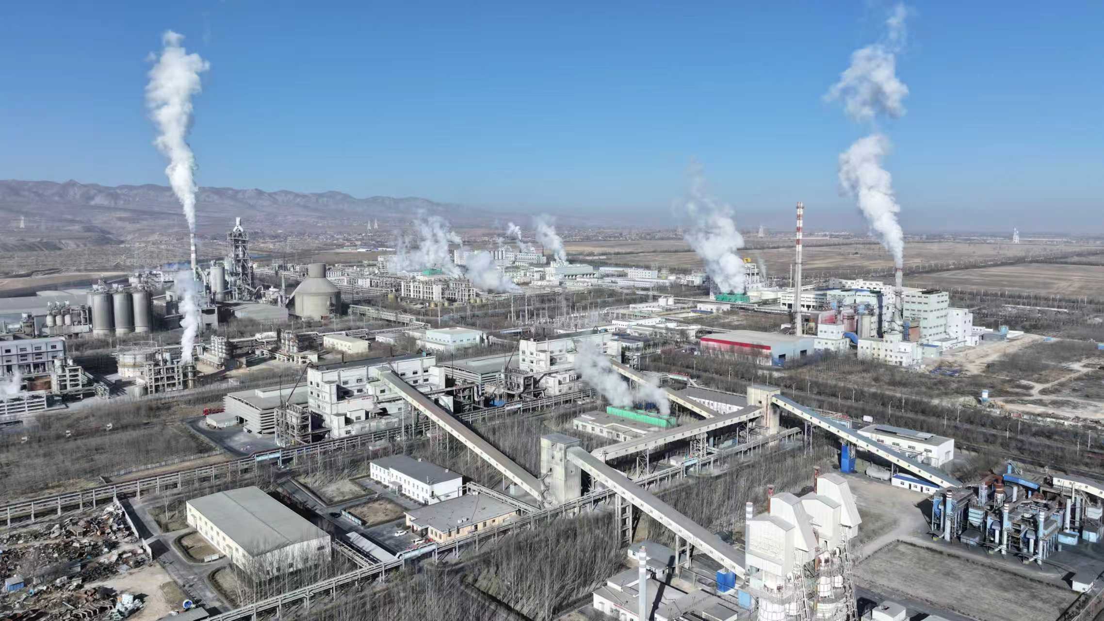 全区首家全自动出炉机器人投入使用