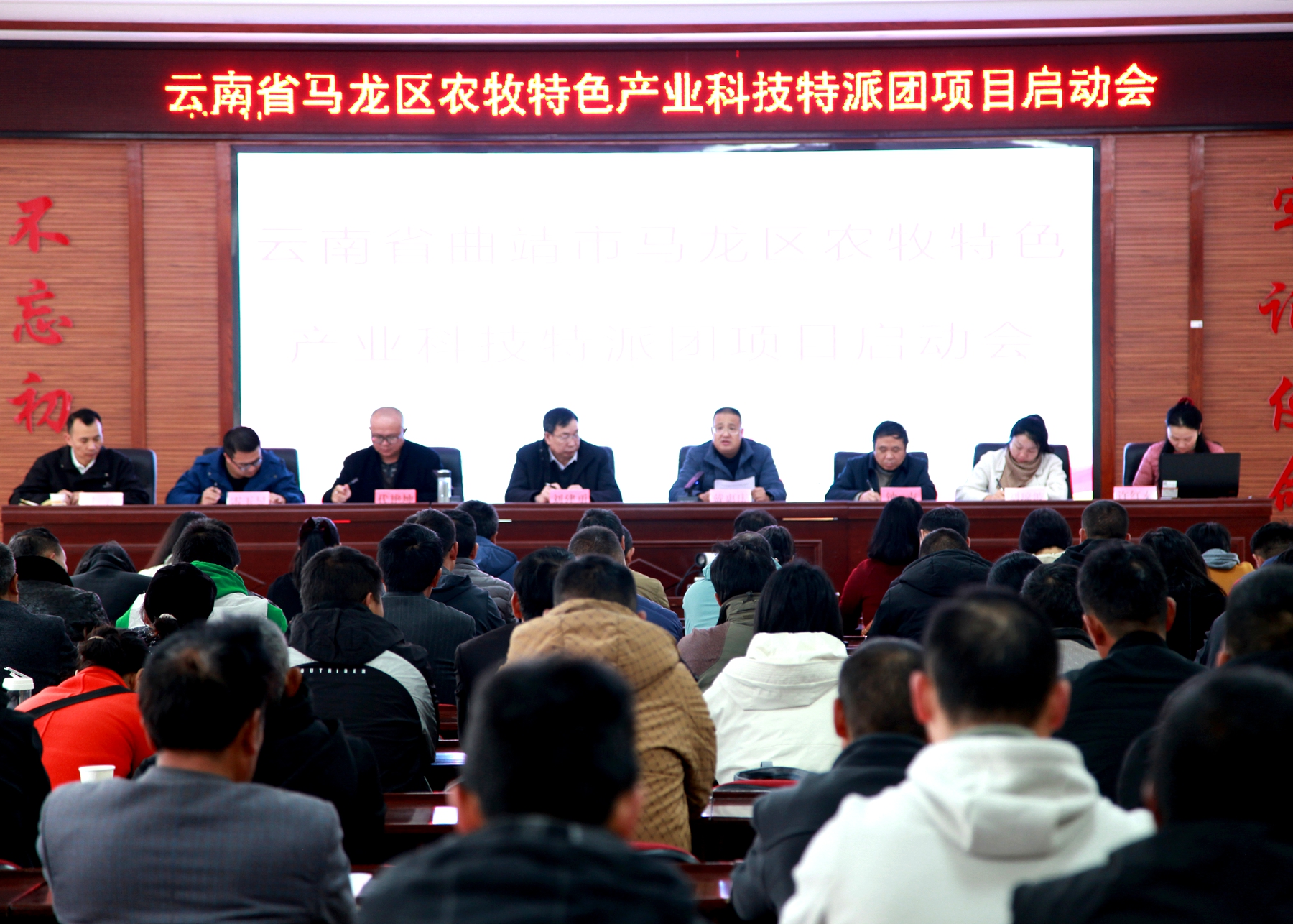 马龙区：农牧产业科技特派团项目启动 助力..