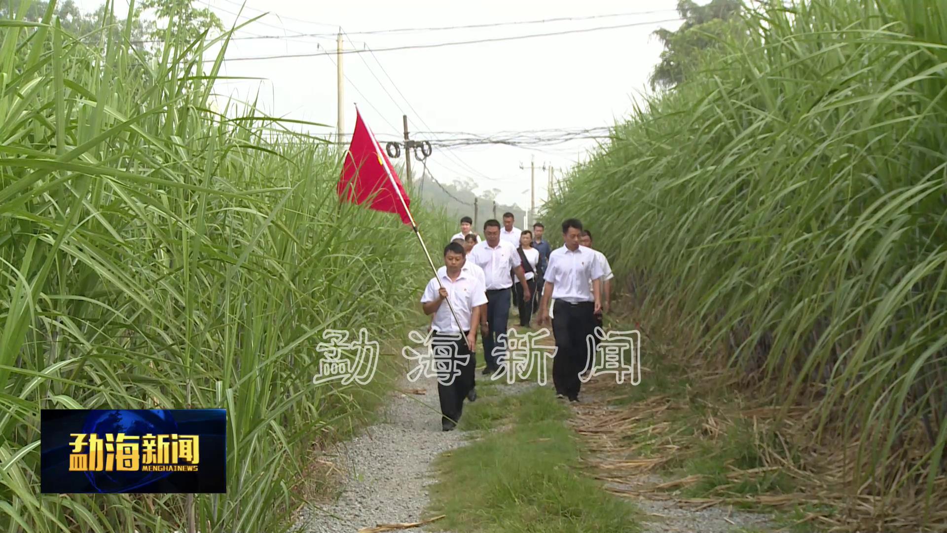 勐遮镇开展纪念中国人民抗日战争胜利76周年暨2021年全民健身月活动[00-00-51][20210908-175036894].jpg