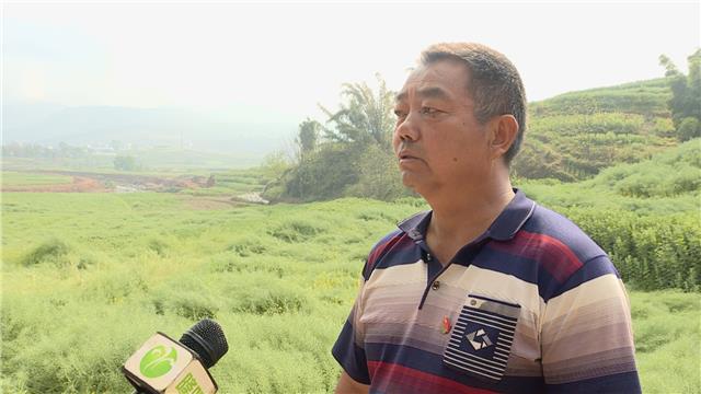 不用电 不用油 自然能提水解决1万余亩耕地浇灌难题 (2).jpg