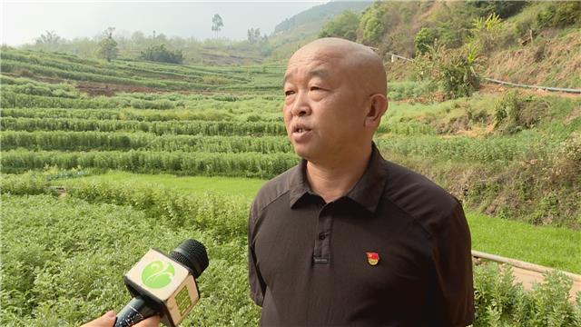 不用电 不用油 自然能提水解决1万余亩耕地浇灌难题 (1).jpg