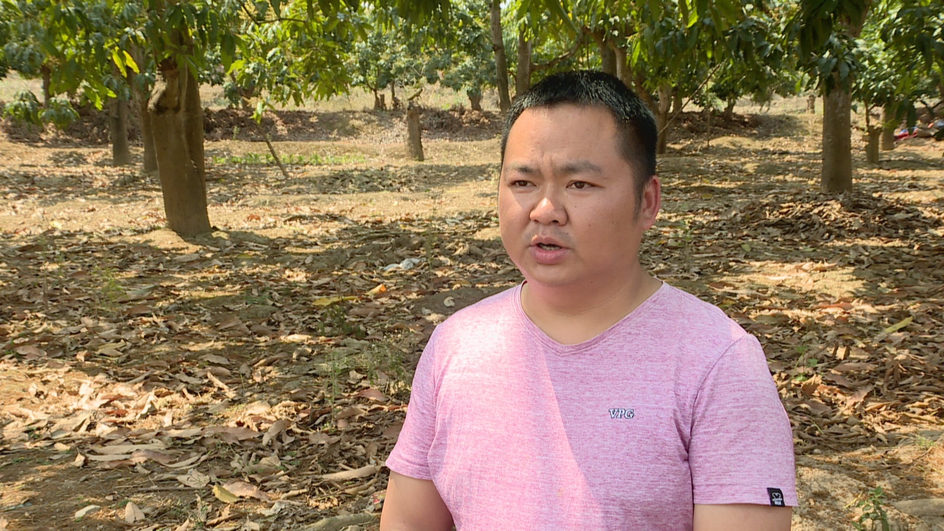 (已审)无人机飞翔田野 助推现代农业发展  种植护士.jpg