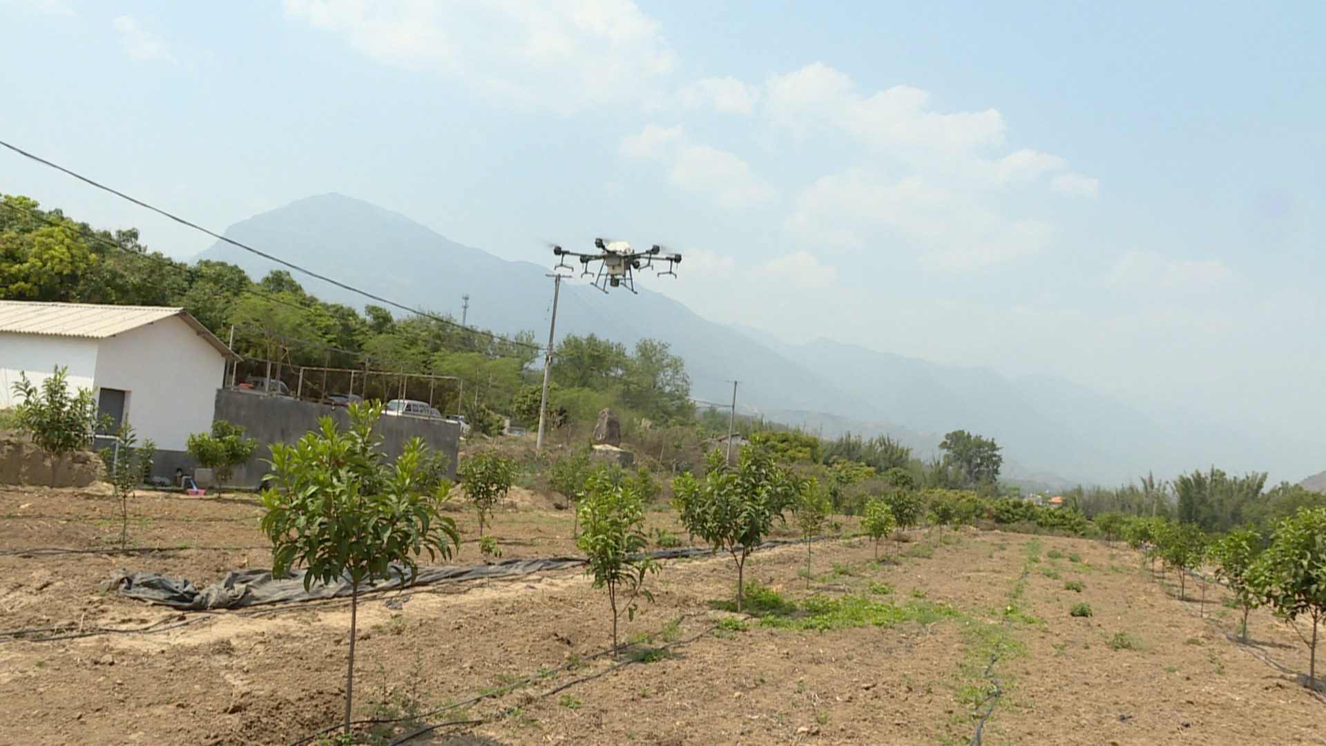 (已审)无人机飞翔田野 助推现代农业发展 (1).jpg