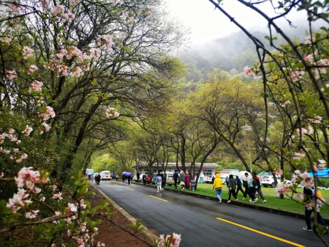 六盤山國(guó)家森林公園.png