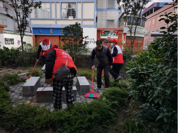 文苑支部清扫小花园.png