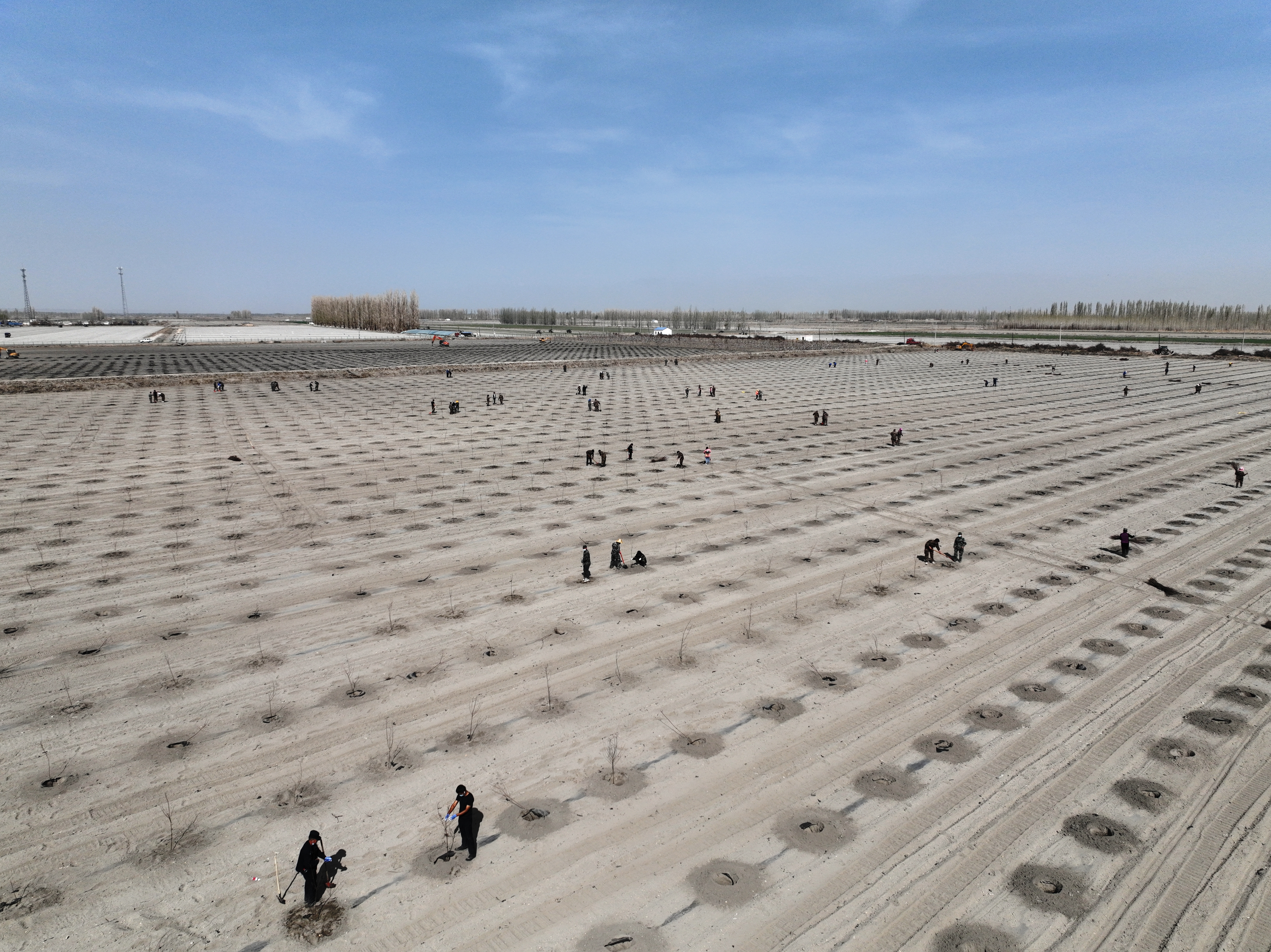 DJI_0880.JPG