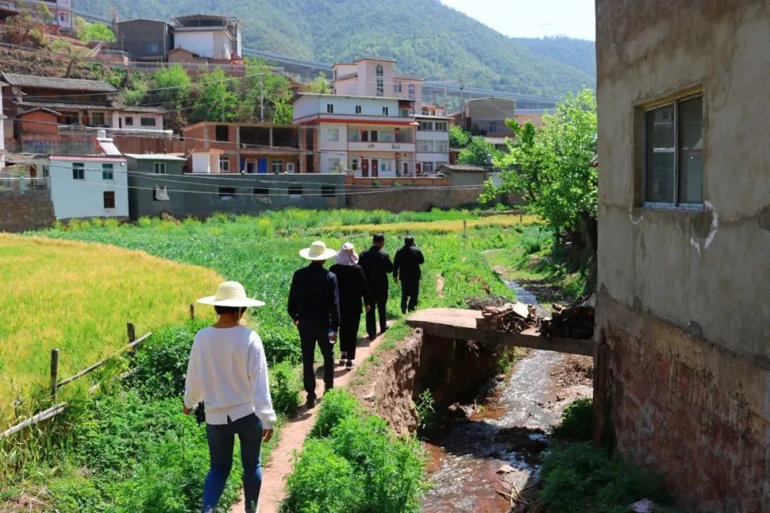 1.jpg 图片