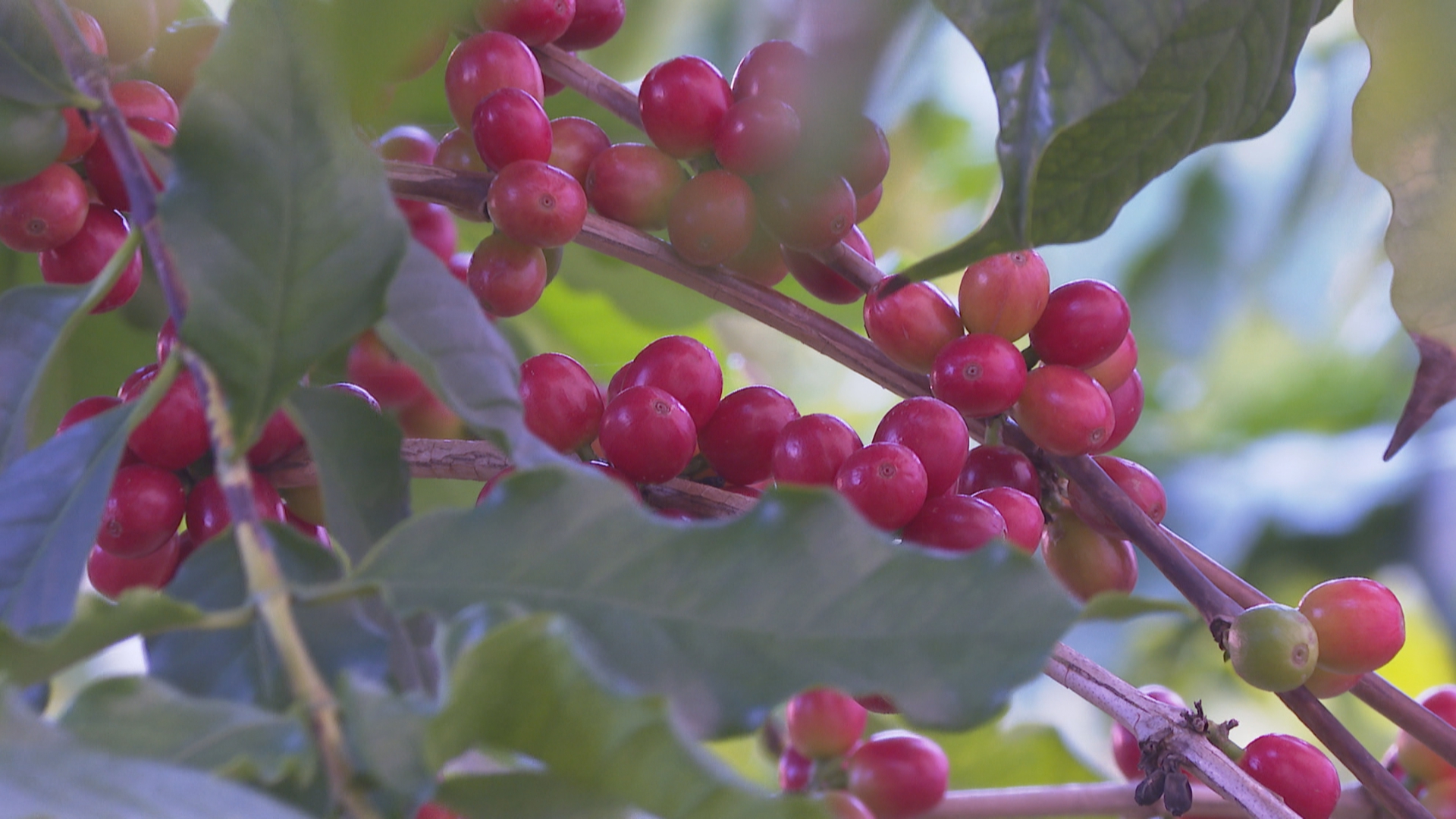 天气预报2022-3-22 (2).jpg