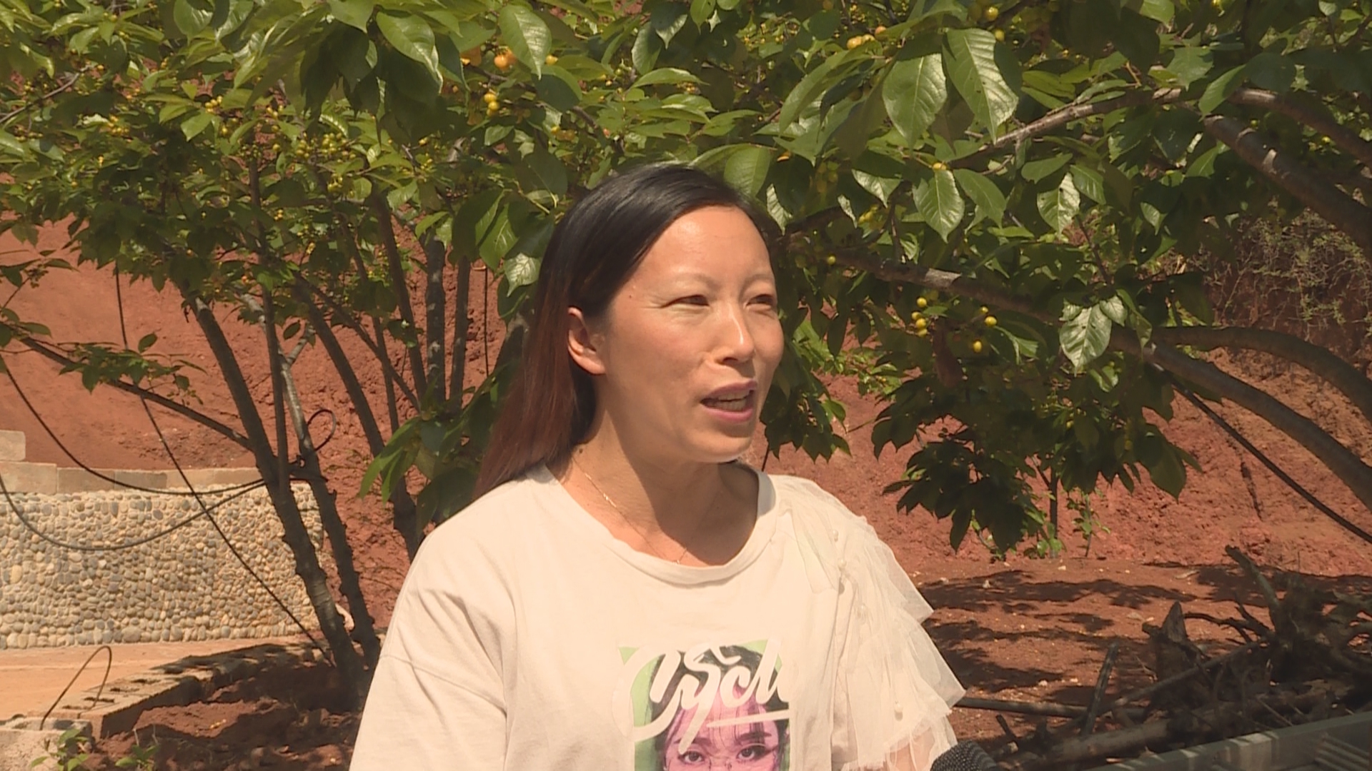 村民 赵艳菊 (1).jpg