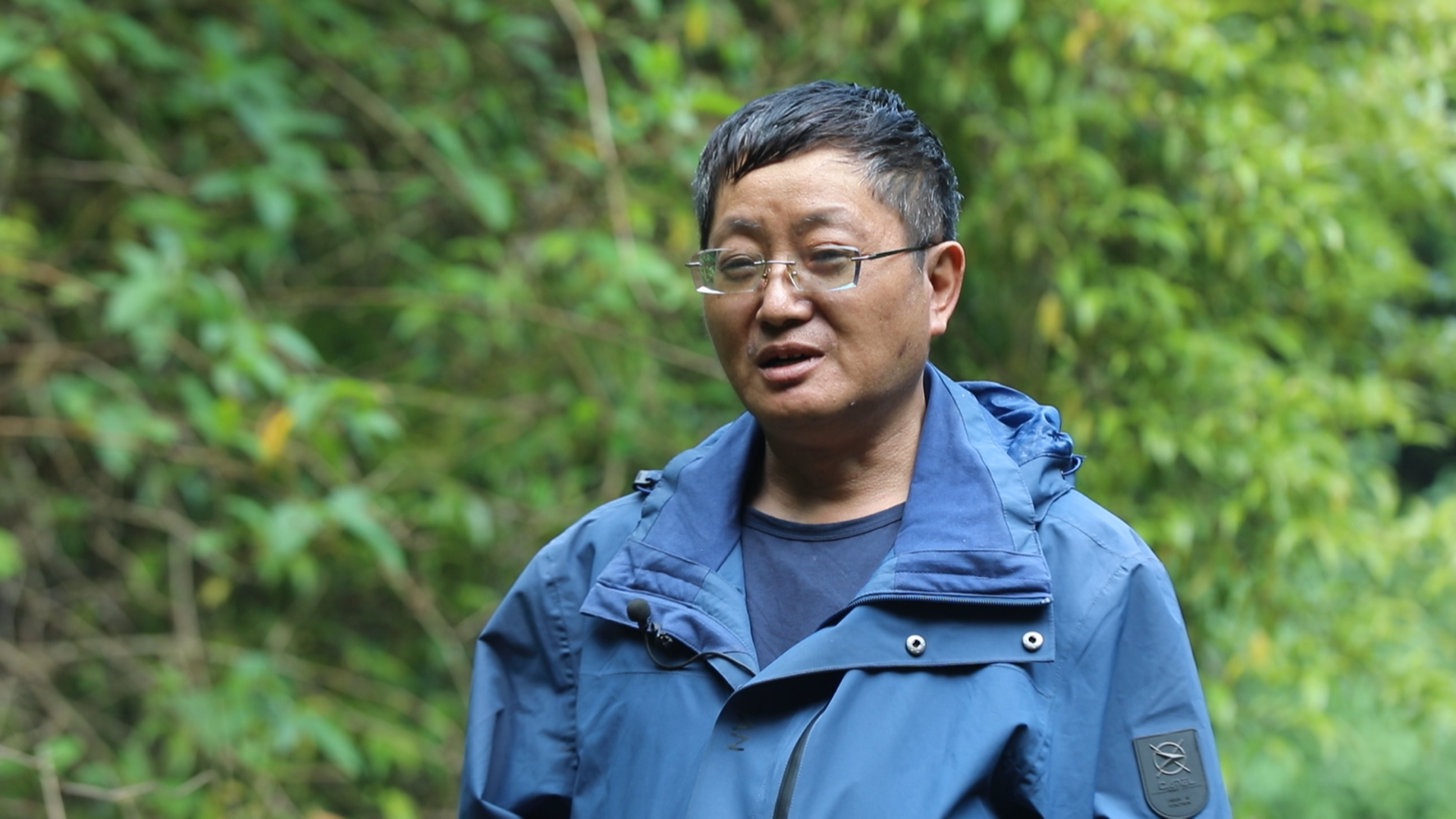 罕见！植物界“大熊猫”水韭现身高黎贡山 汪建云.jpg