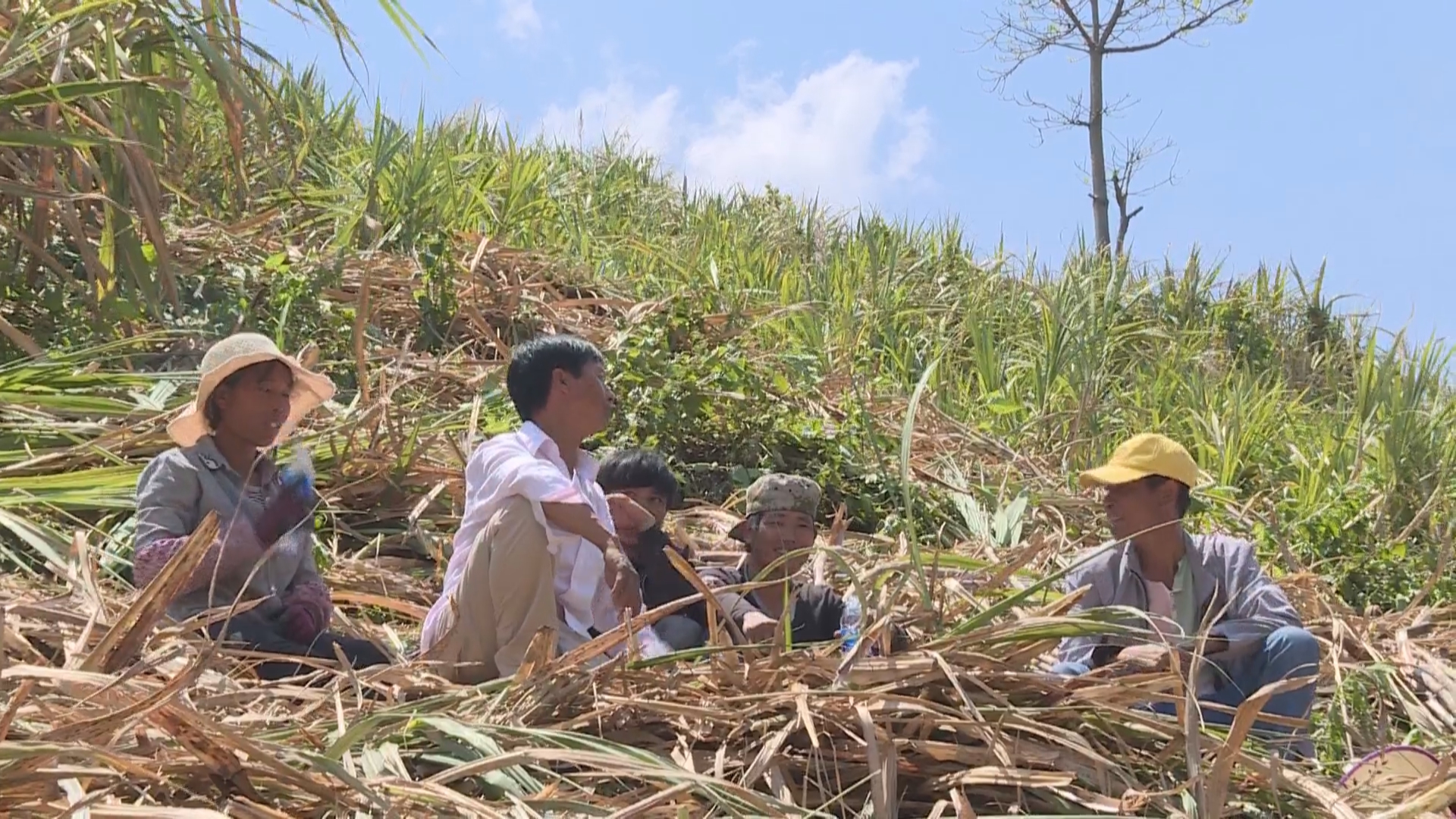 (部门已审)甜蜜的产业 幸福的生活的.jpg