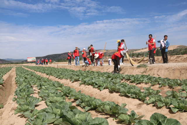 清理宽坪蔬菜园区卫生.jpg