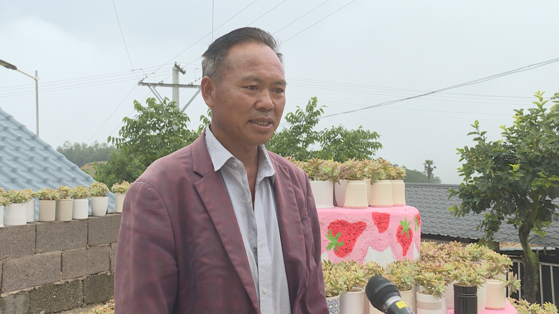 杨留.jpg