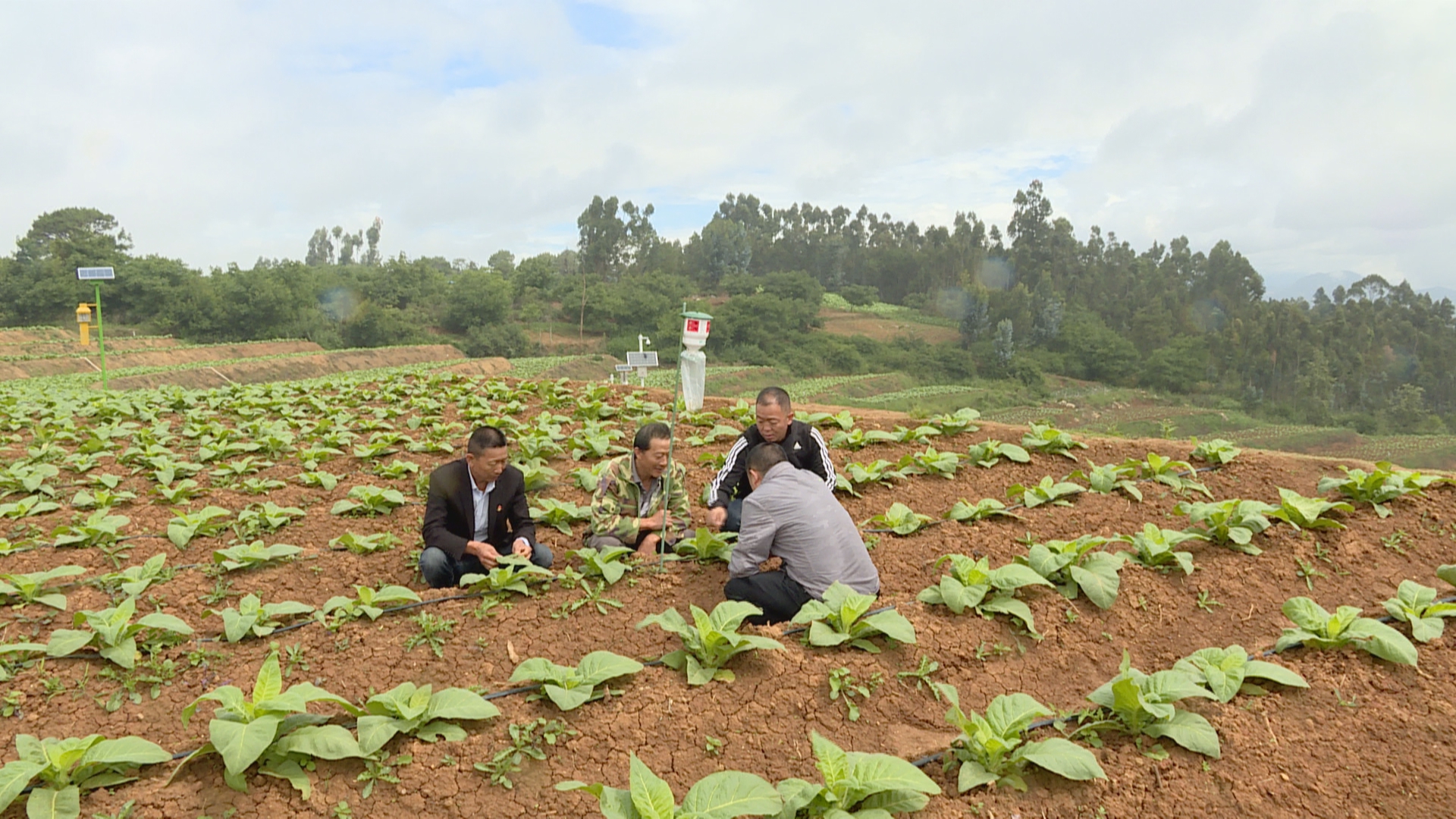 土地流转：让土地活起来 让农民富起来.jpg