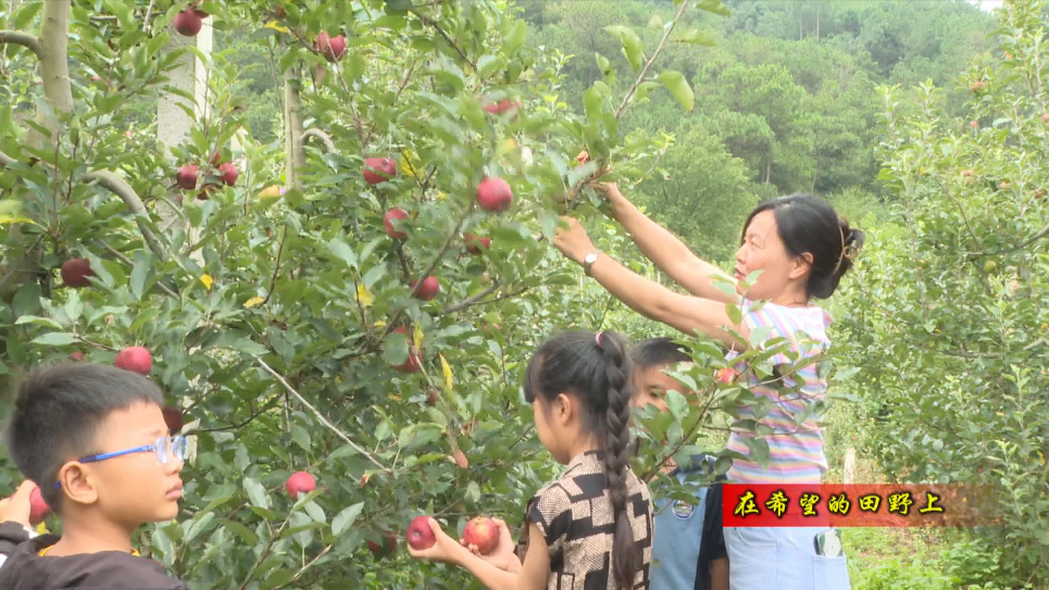 微信截图_20220810180008.png