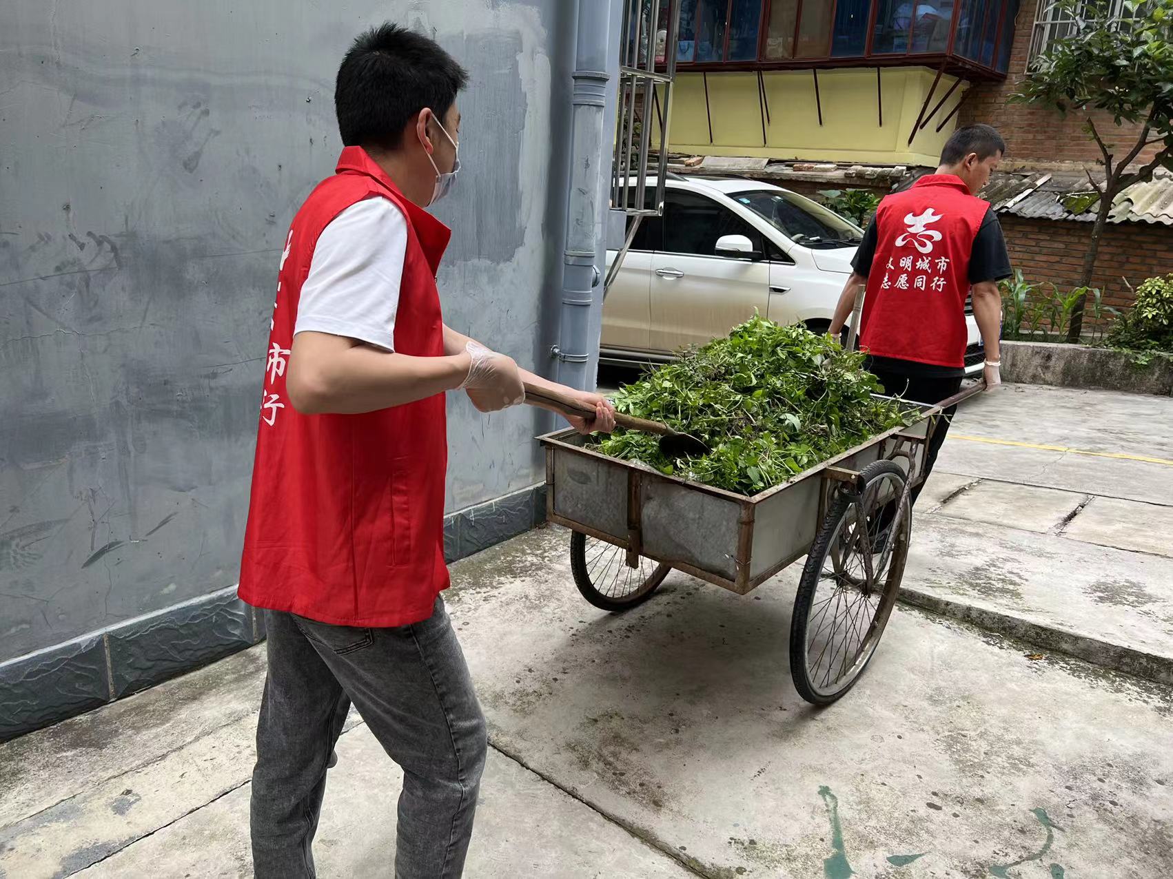 背街小巷除杂清淤（兰静琦  摄）.jpg