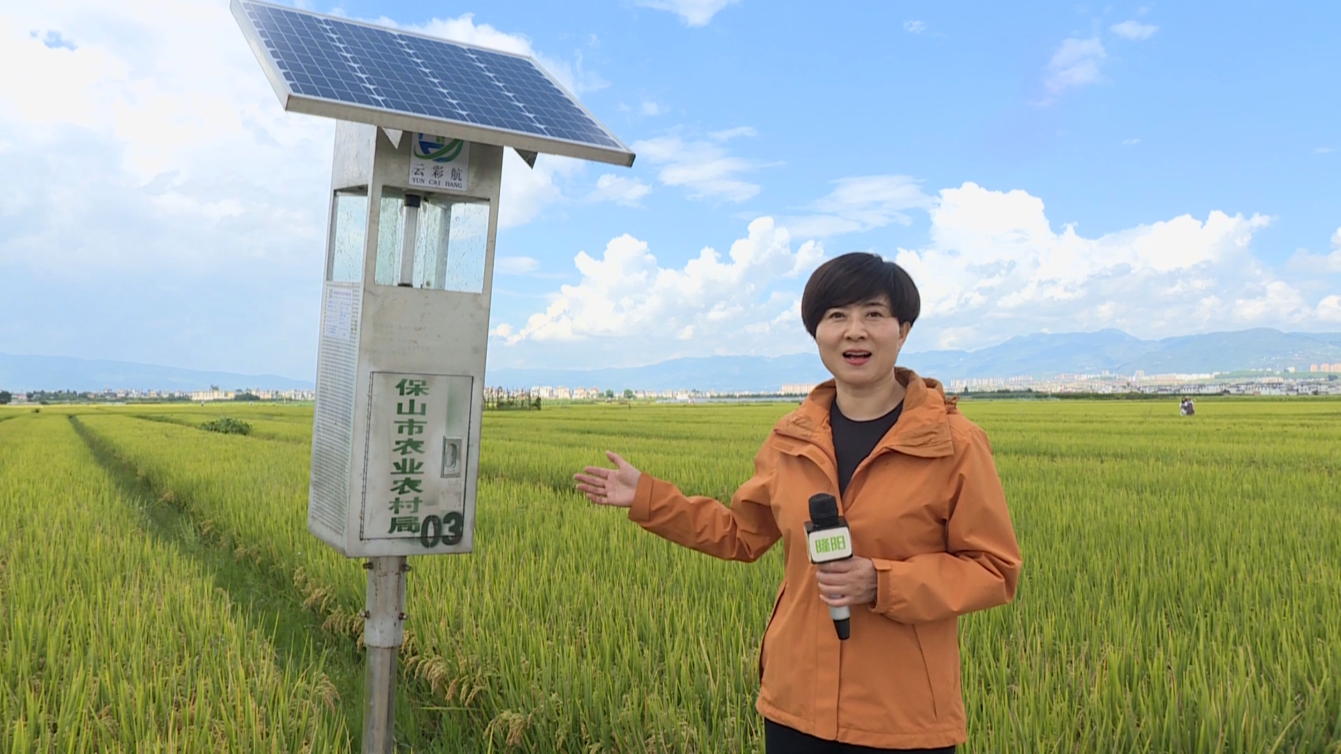 记者 吴秀华g.png