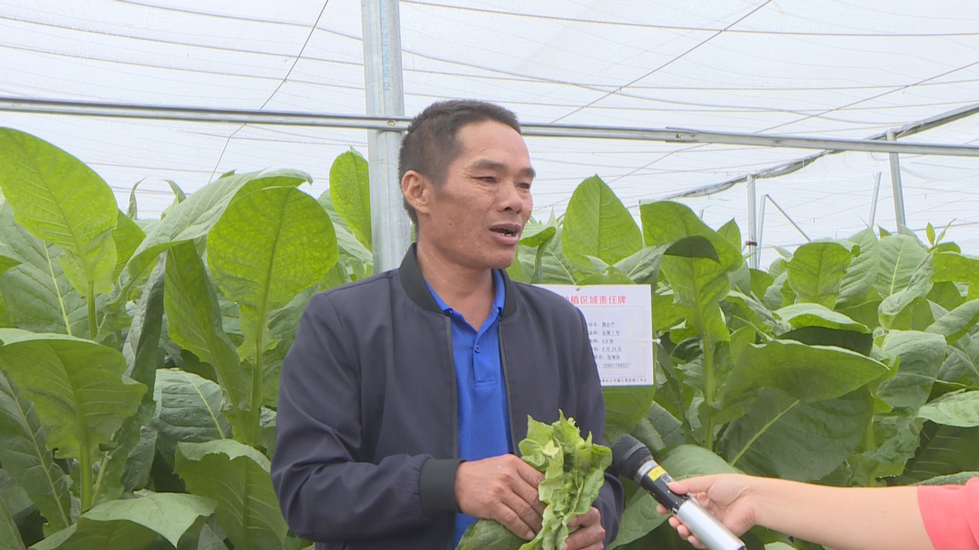 烟农 王茂然.jpg