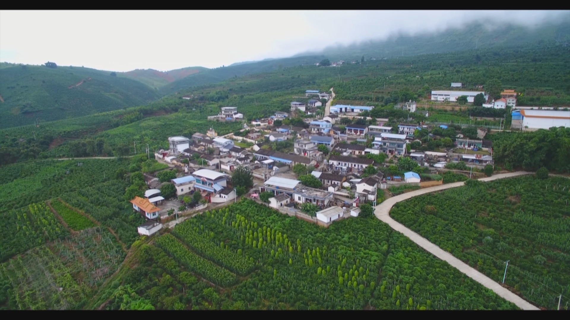 世界雪茄哈瓦那 中国雪茄潞江坝01111.jpg