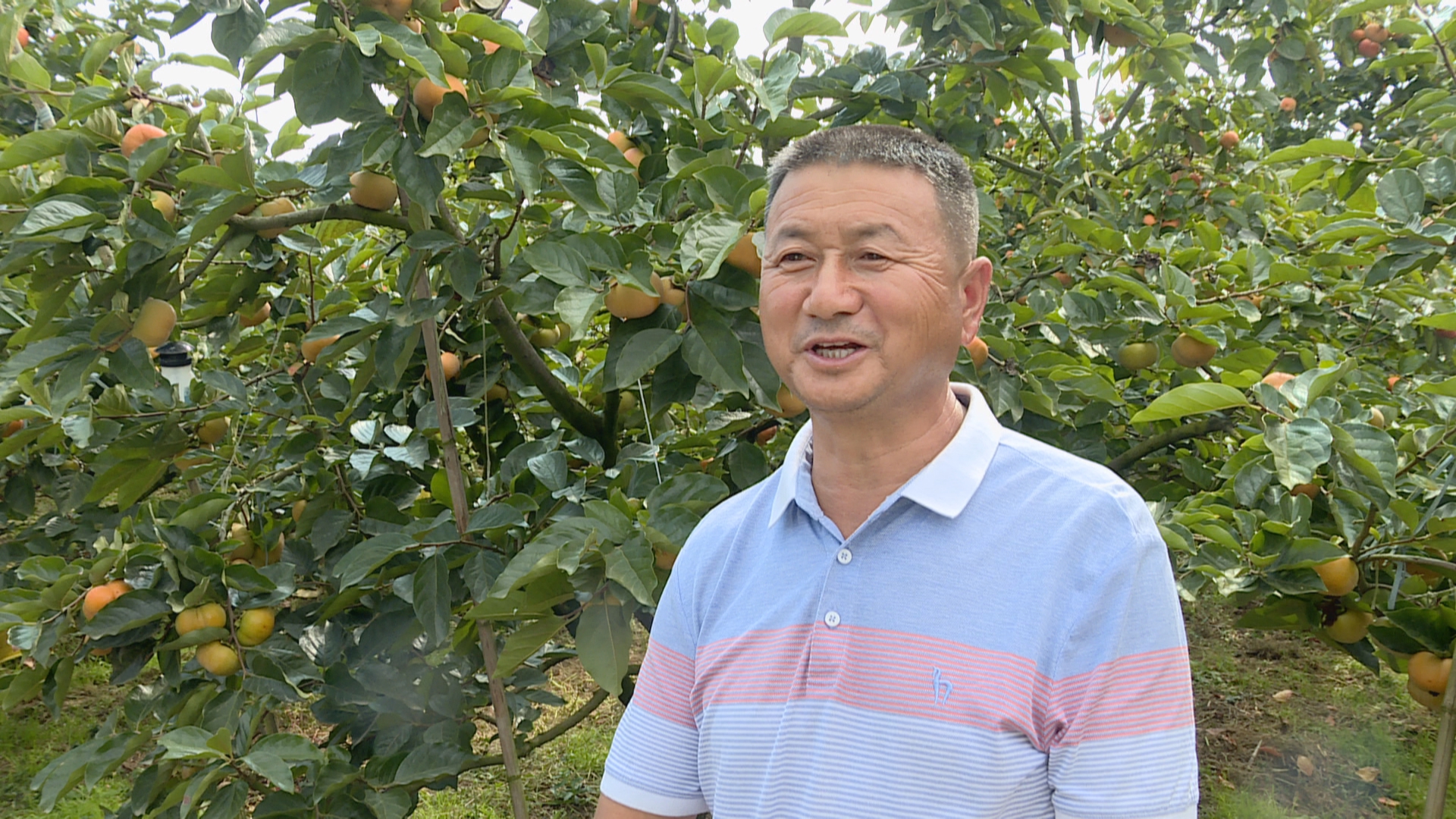 柿农  宋光松0.jpg
