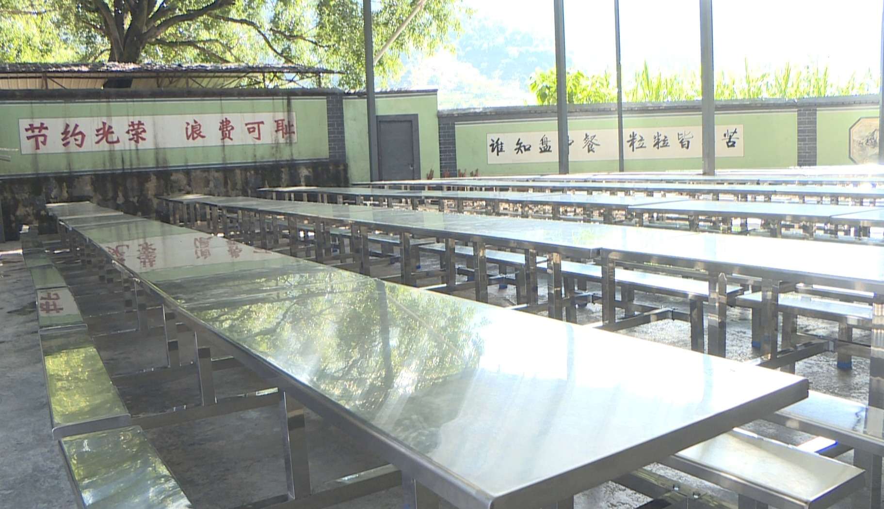 牵手圆梦——大山深处的橄榄情014.jpg