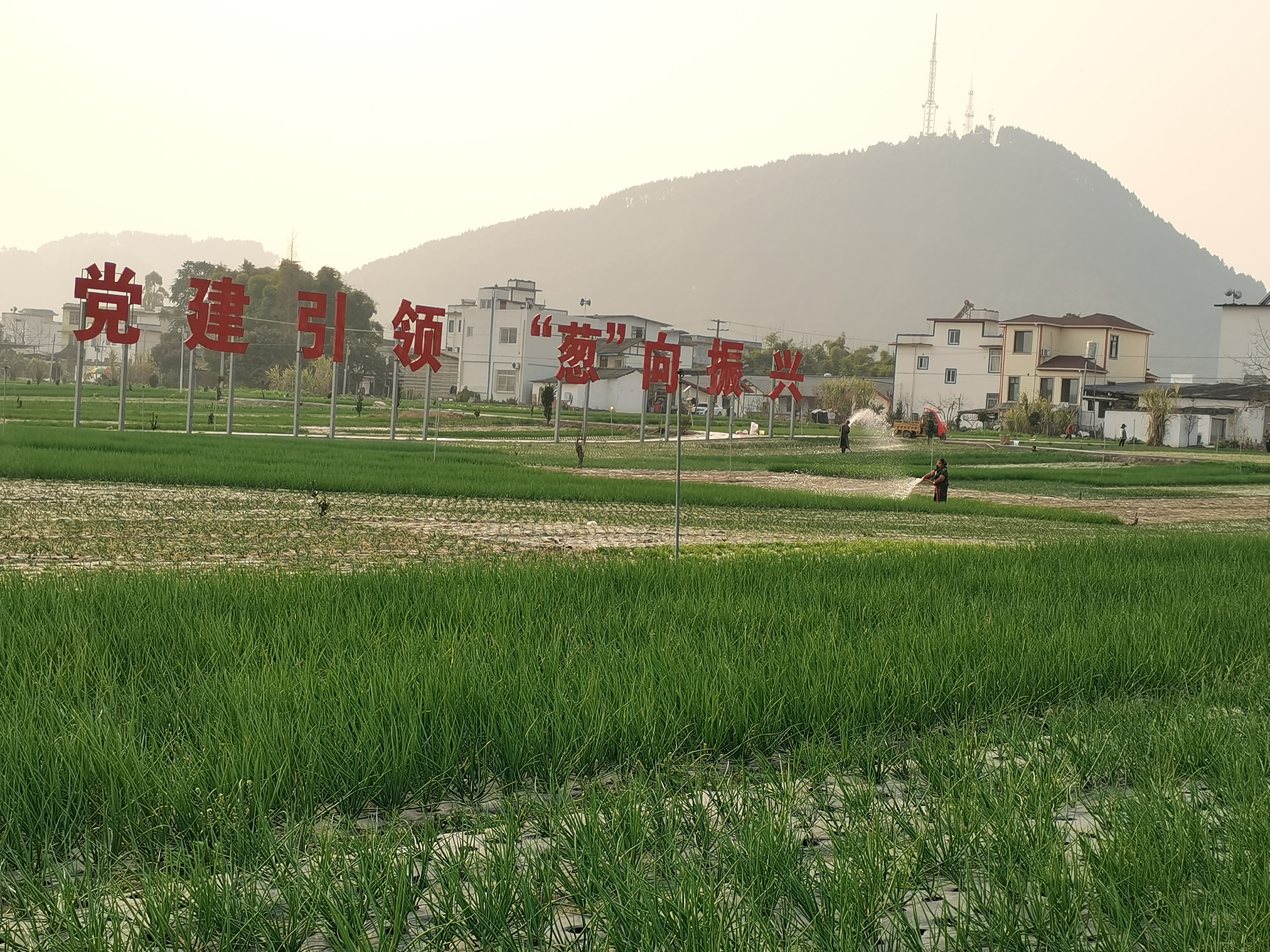 微信图片_20230201215651.jpg