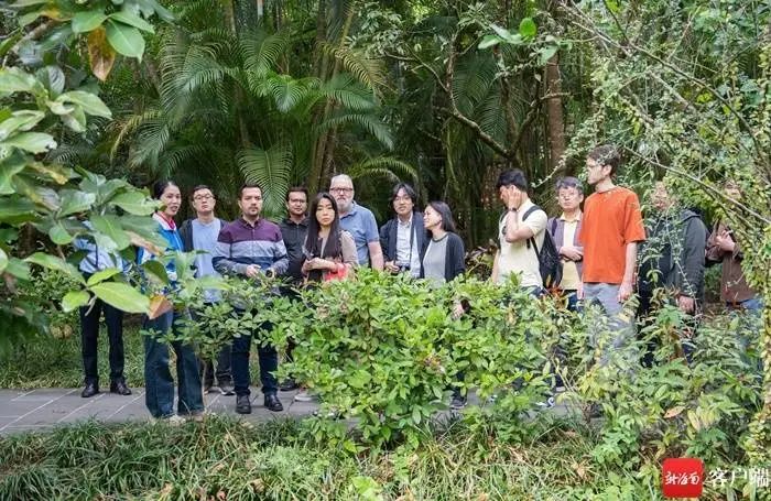 寻味万宁 | 外国媒体驻华记者走进万宁兴隆热带植物园