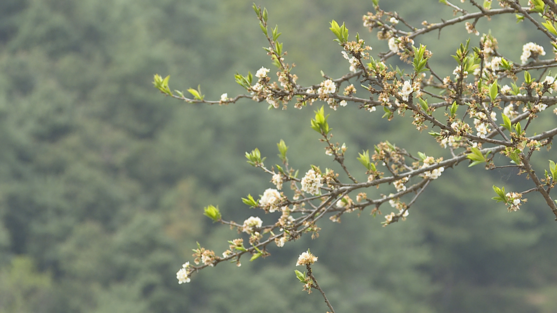 瓦马乡：远离隐患 搬出大山住上安心房.jpg