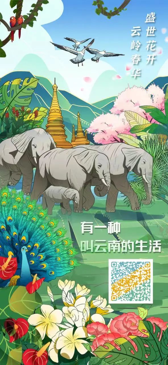 生活竖.jpeg 图片