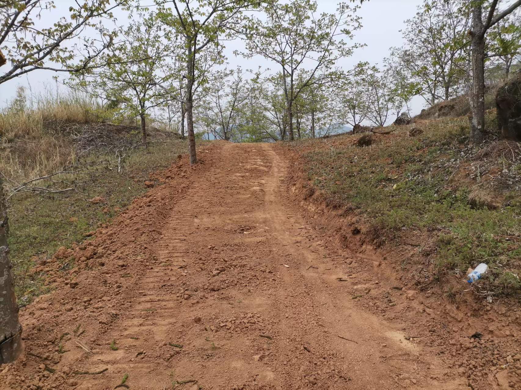 产业路修到田间地头.jpg