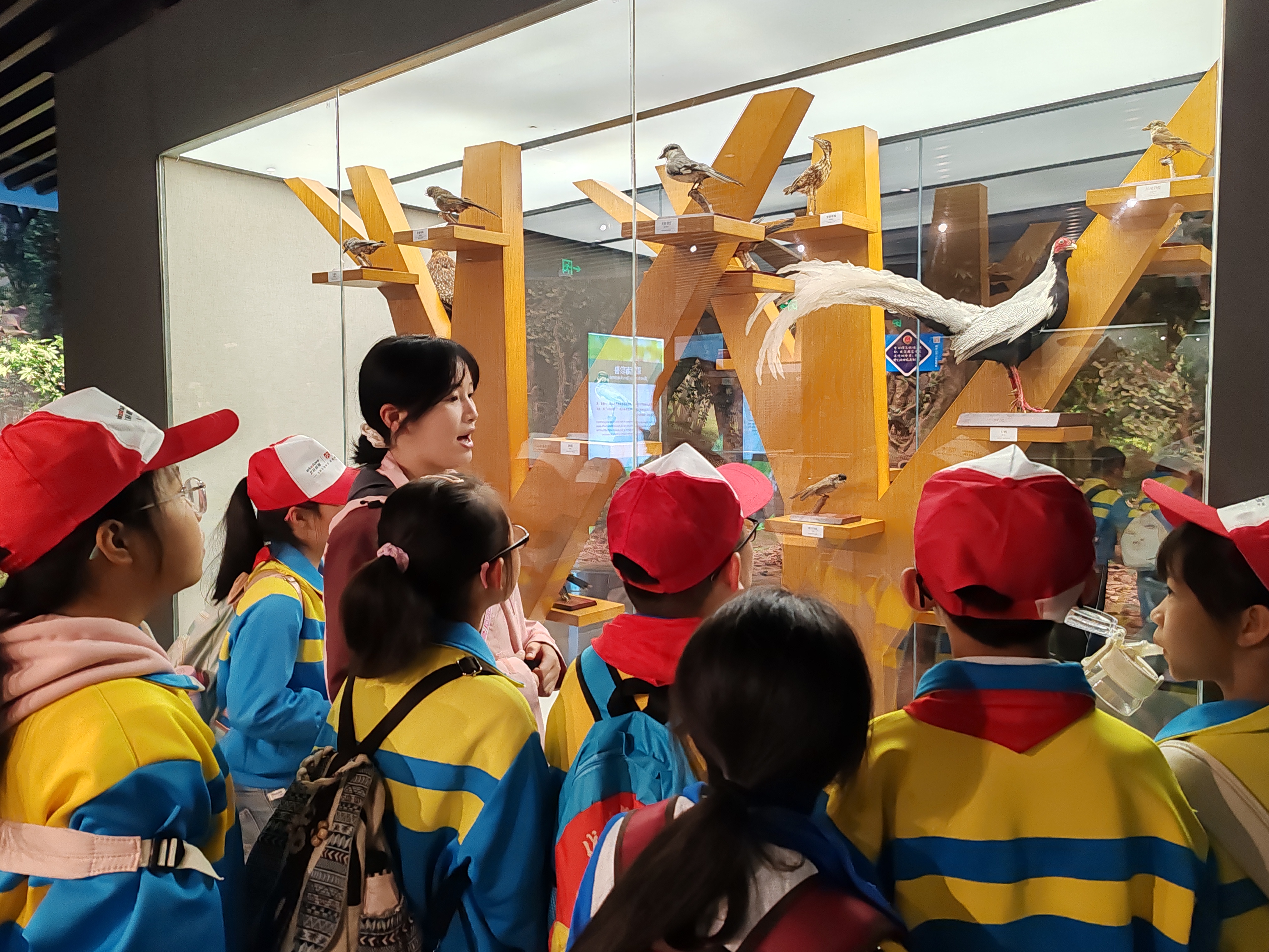 泥度金花 (1).jpg