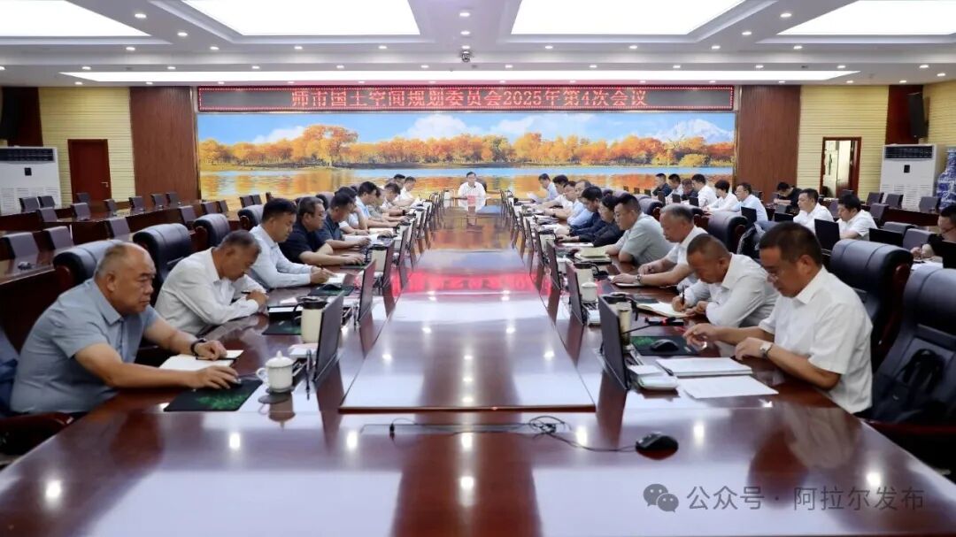 师市国土空间规划委员会召开会议