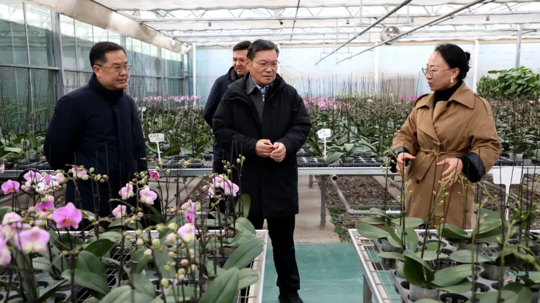 师市党委书记、政委丁翊强在十团昌安镇调研