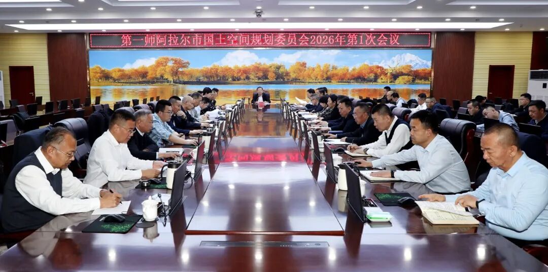 师市国土空间规划委员会召开会议