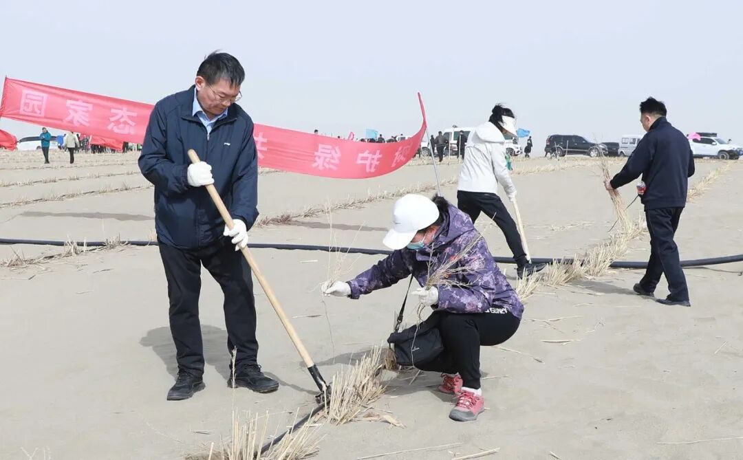 师市领导参加春季义务植树