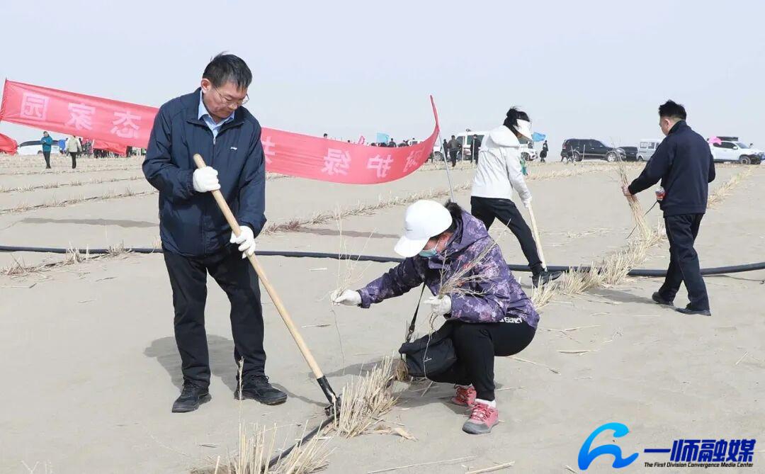 師市領導帶領各族干部職工群眾參加春季義務植樹