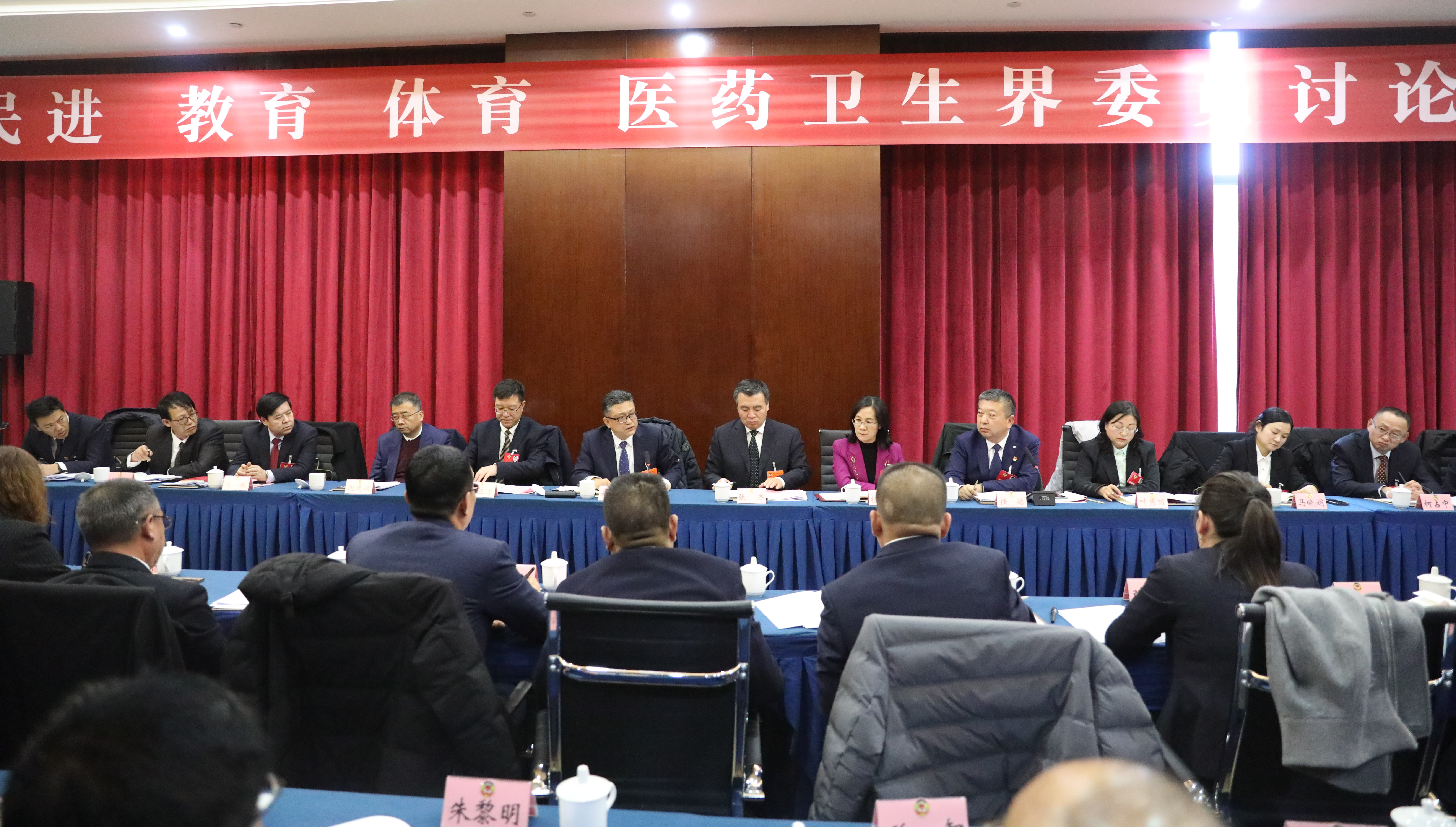 杨青龙参加民进教育体育医药卫生界委员讨论