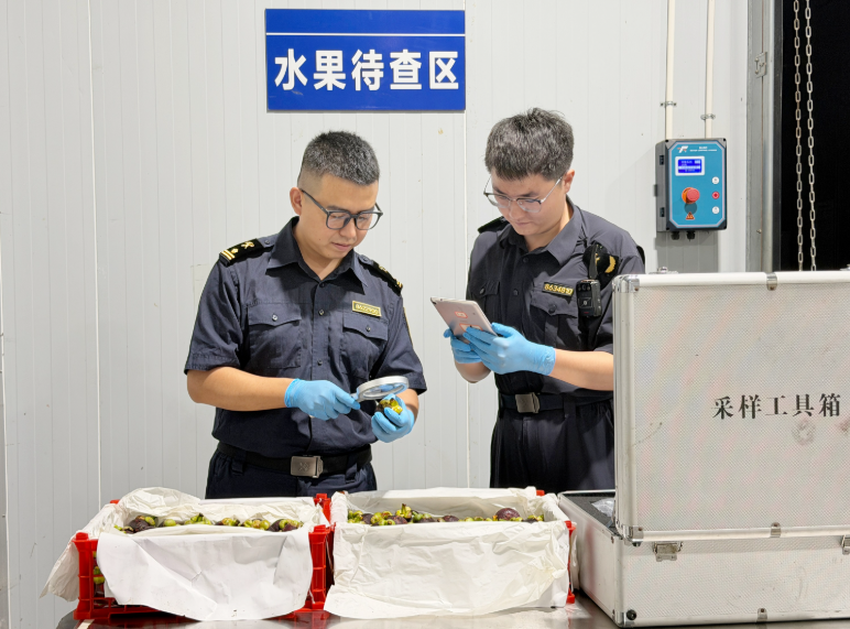 故事缩略图