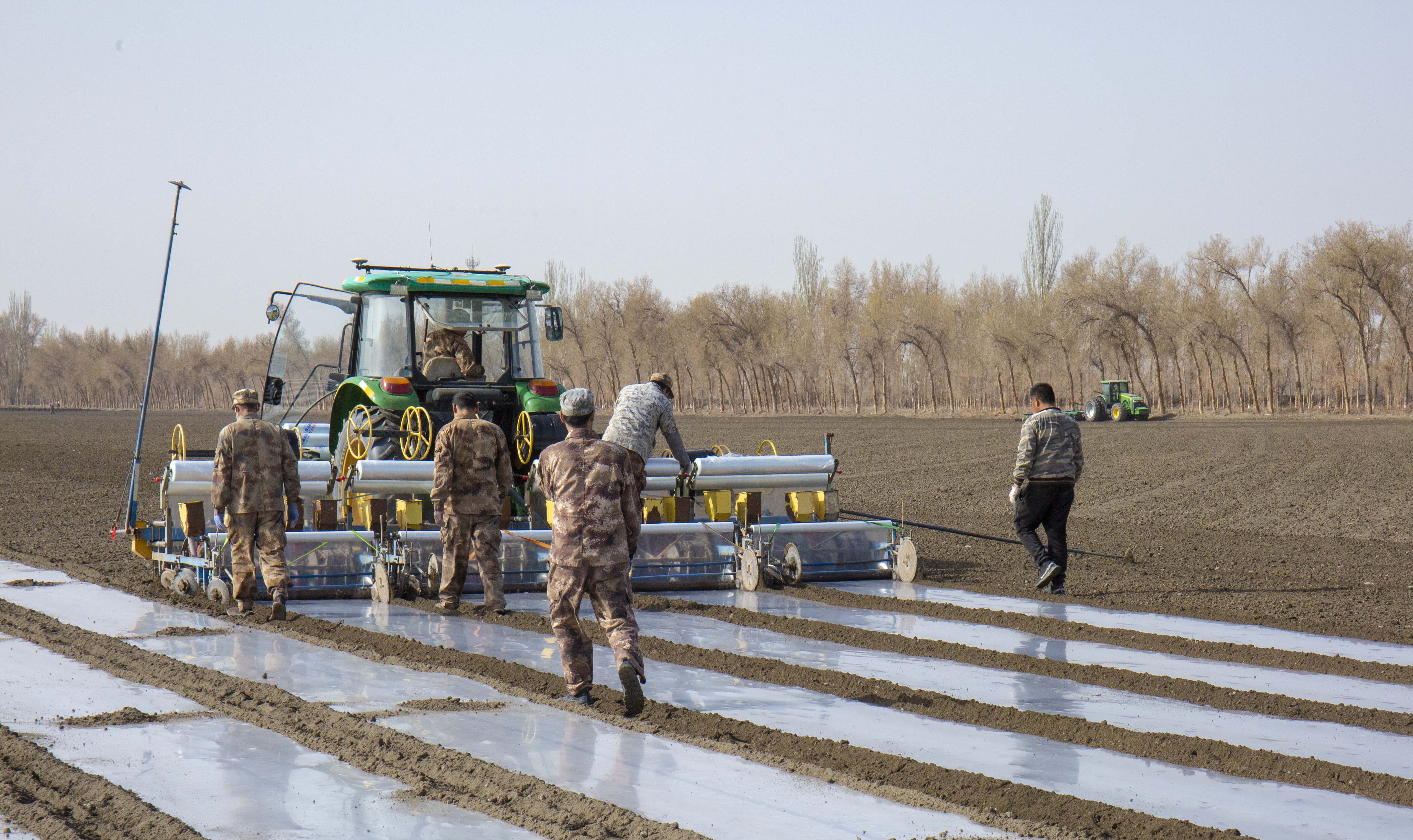 二十九团棉花春播工作有序开展