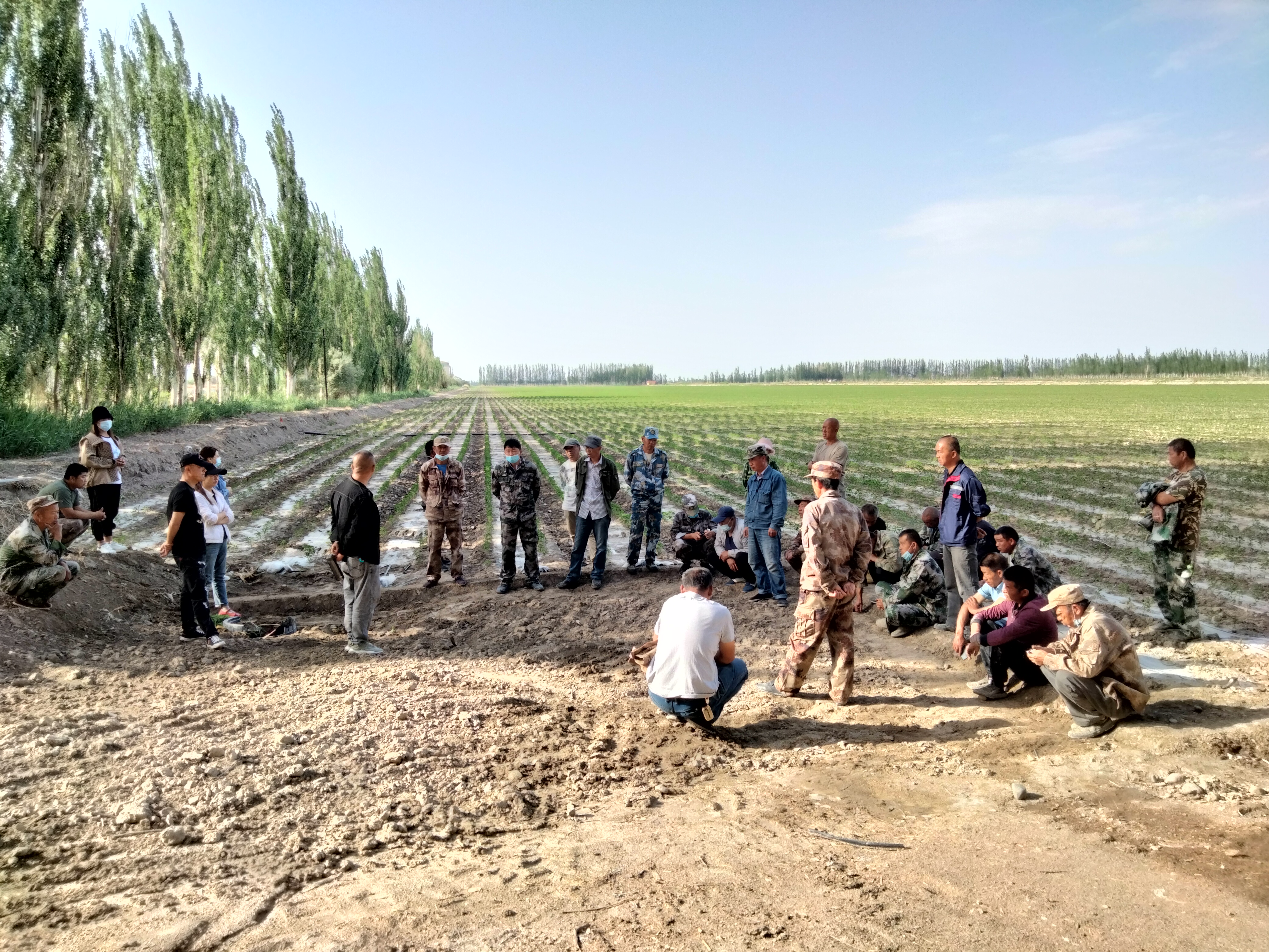 兵团第二师铁门关市-二十二团七连召开"五好条田"建设工作现场推进会