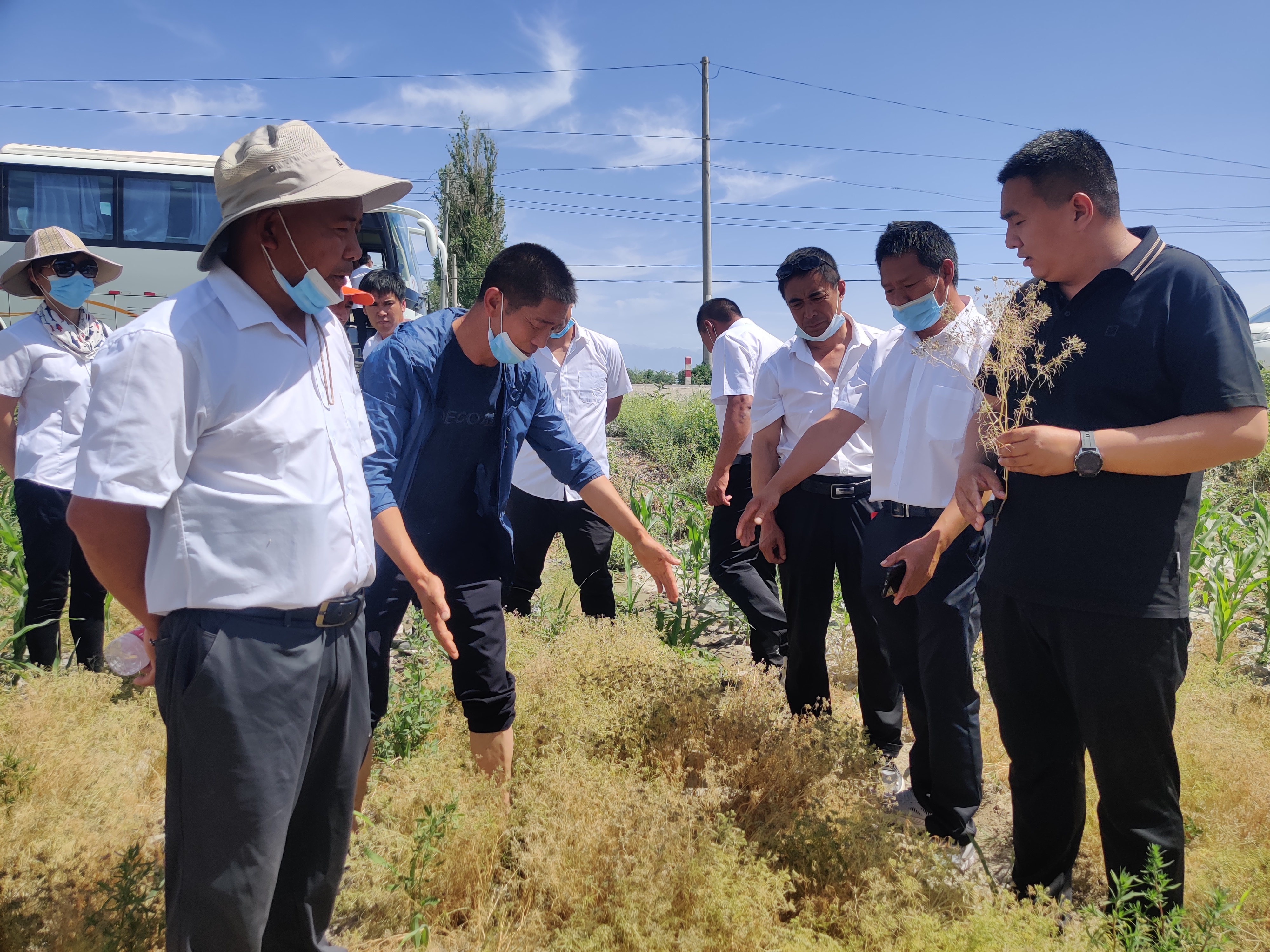 兵團第二師鐵門關市-二十九團九連黨支部走出去 讓主題黨日活起來