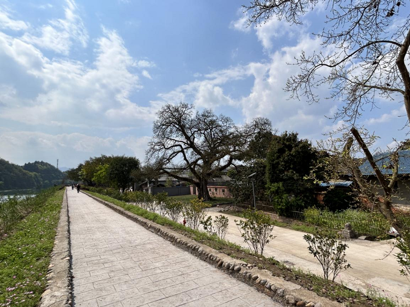 犍为县清溪镇:这里有一条通往人心的滨河步道