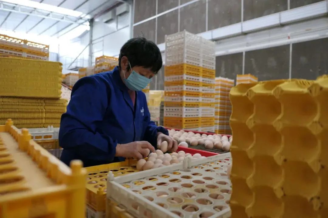 tobu18-19- mba智库百科