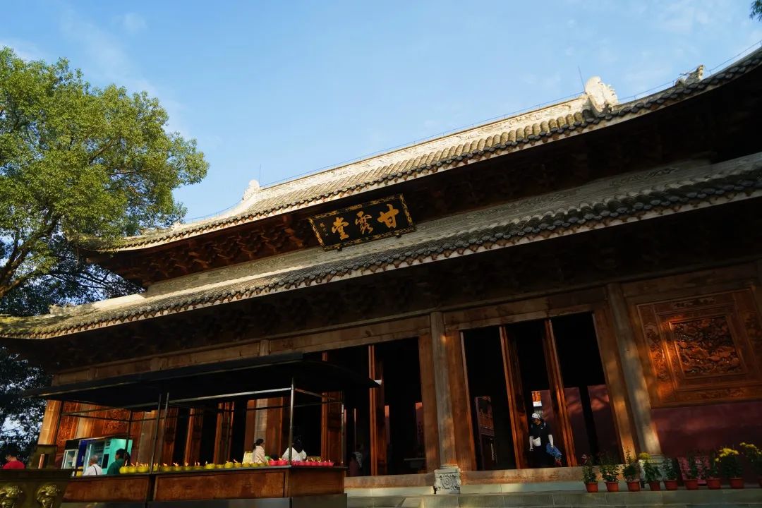 冬来赏菊向乌尤寺出发