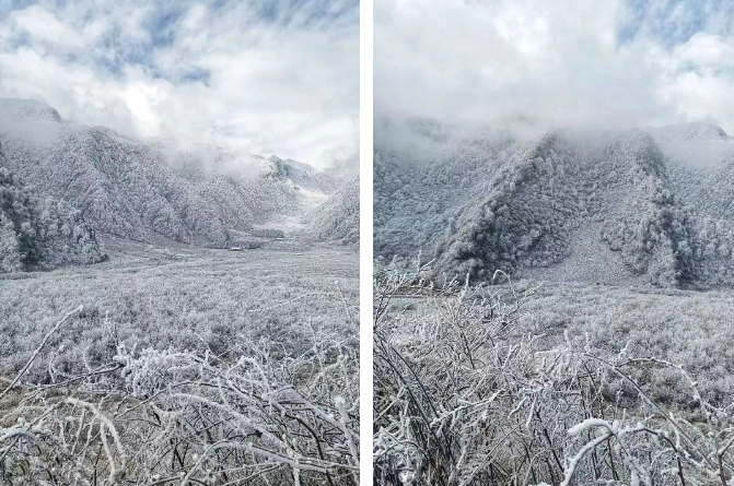 地址:大瓦山门票:免费就问有几个人不是冲着乐山的美食来的?