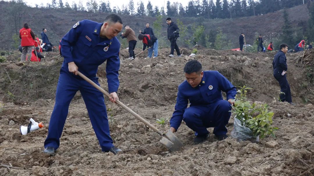 不负春光！他们种下5000株树苗→