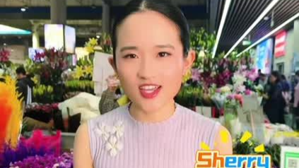 故事缩略图